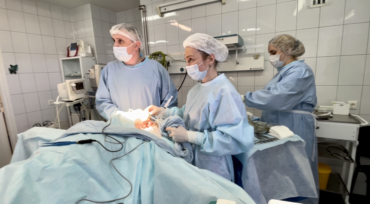 25-летие службы пластической хирургии НИИ скорой помощи им. И.И. Джанелидзе отметили уникальной операцией