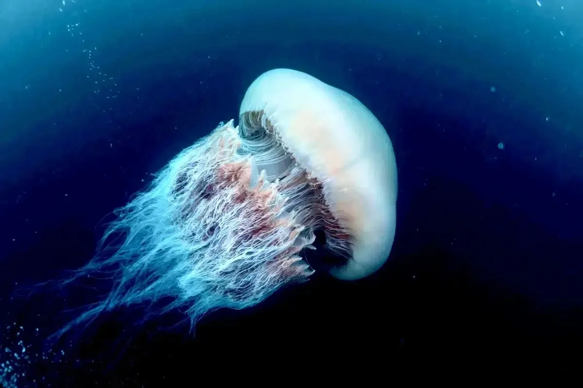 Запускаем новую воскресную рубрику «Диагноз: редкий случай»